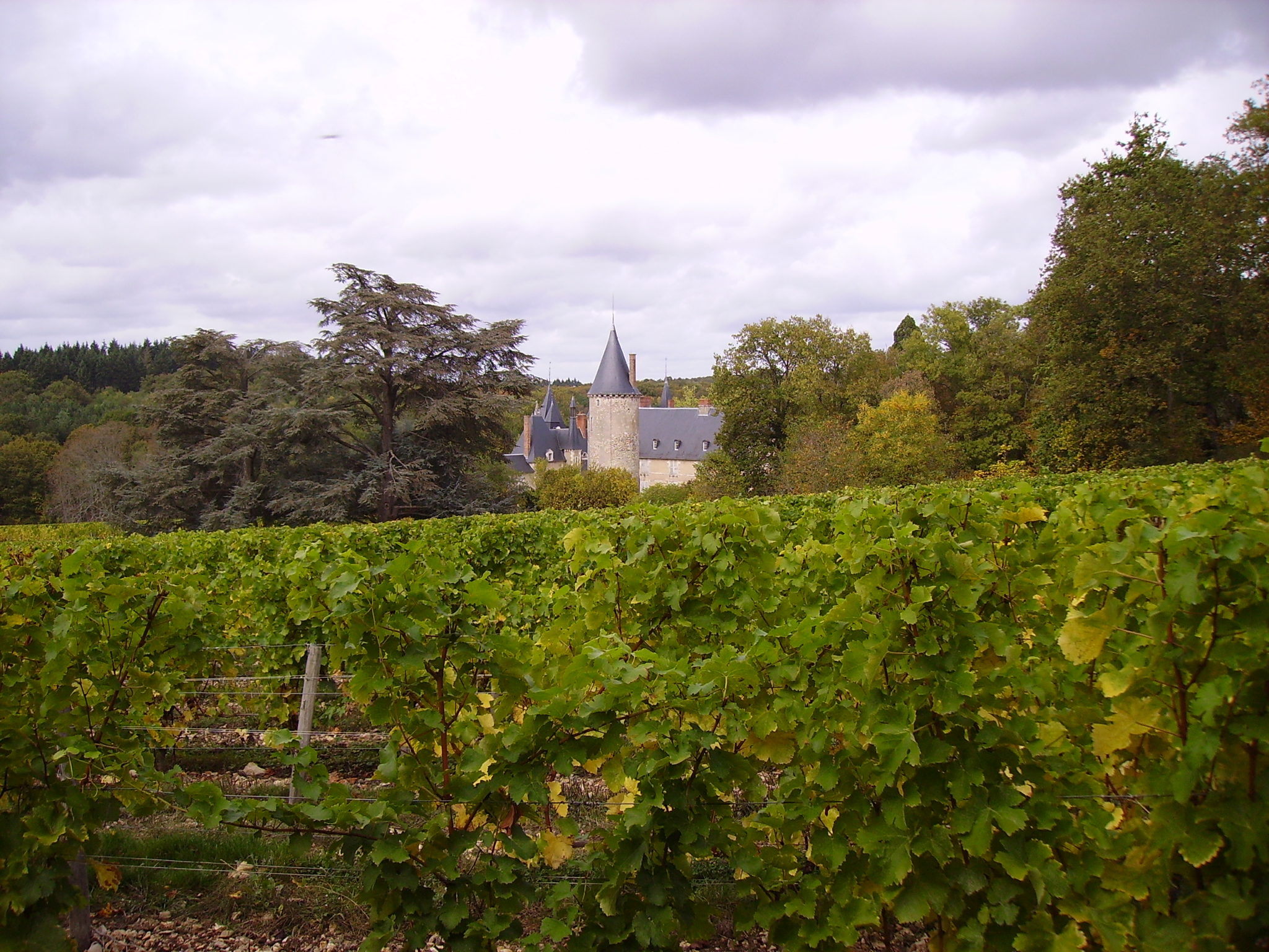 « Château de Tracy producteur de pouilly-fumé » par JPC24M