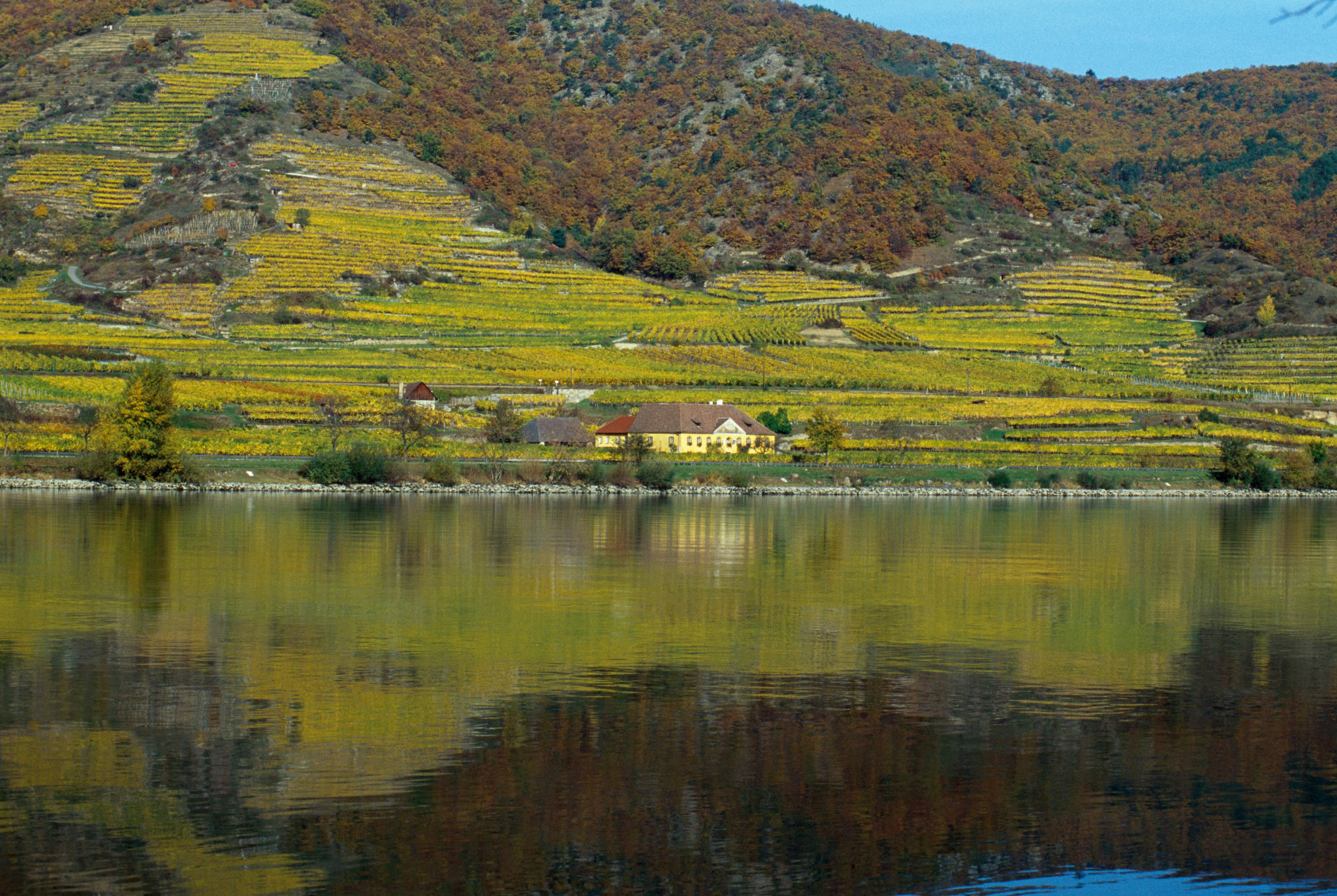 Wachau Gruner Veltliner