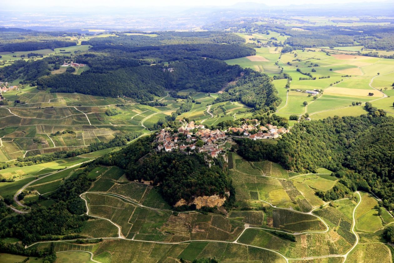 Vignoble Chateau-Chalon