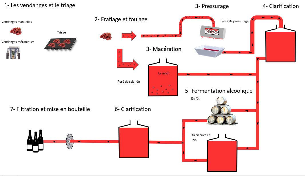 vinification-vin-rose