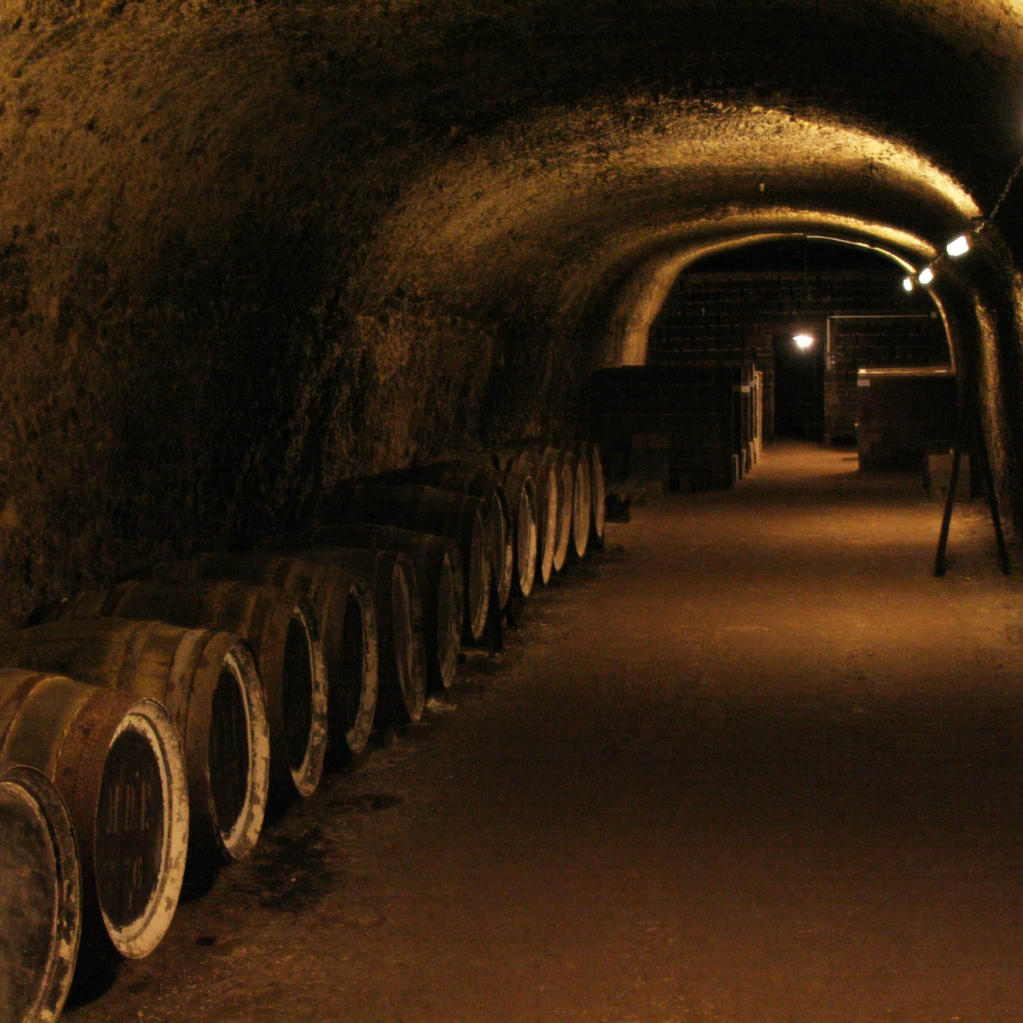 cave à vin pour conserver