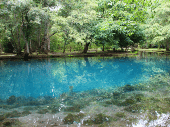 eau forêt