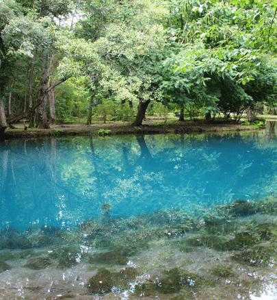 eau forêt