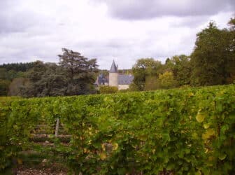 Château Tracy Pouilly fumé