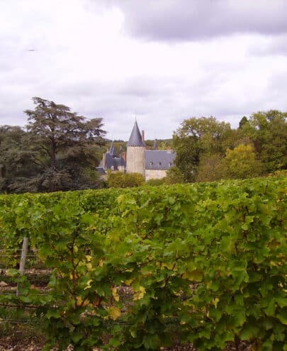 Château Tracy Pouilly fumé