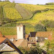 vignoble alsace