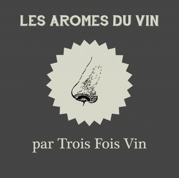 aromes vin degustation