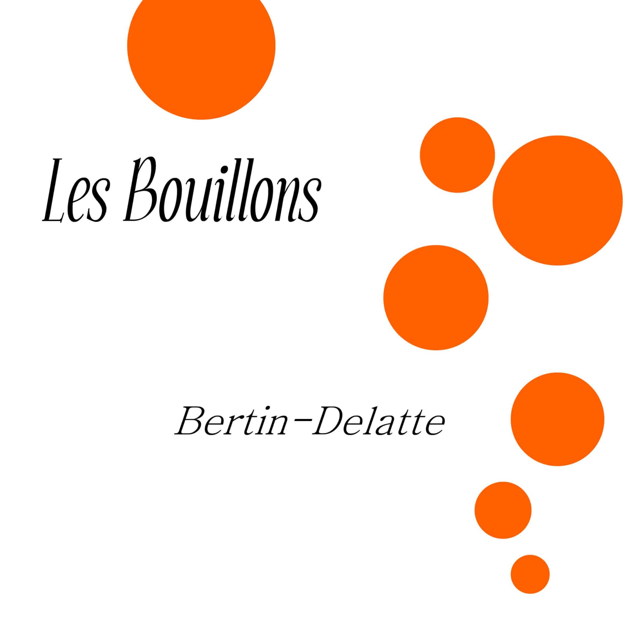 Bouillons 2011, Domaine Bertin-Delatte