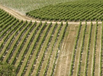 vignoble touraine val de loire