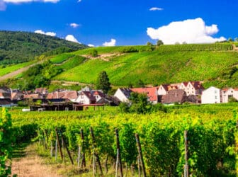 vignoble-alsace