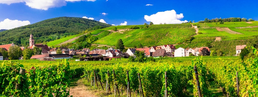 vignoble-alsace