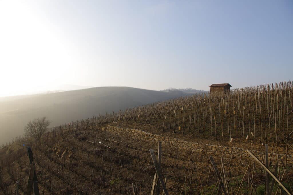 vin vallée du rhône